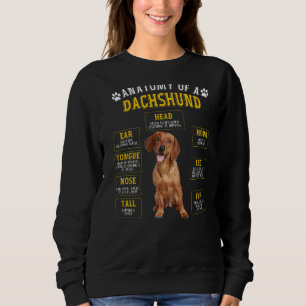 Anatomy Dachshund For Women Men Sweatshirt