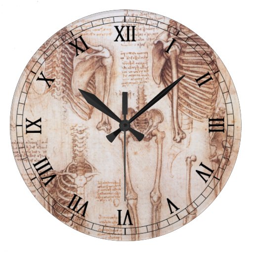 Anatomy Drawings Human Skeletons Leonardo da Vinci Wall Clocks on PopScreen