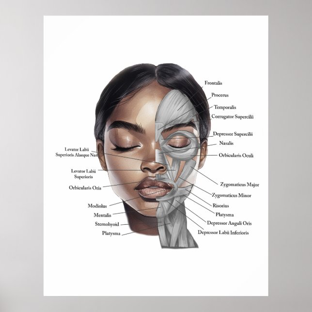 Anatomy Face Print 3 (Front)