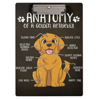 Anatomy Golden Retriever | Golden Retriever Lover Clipboard