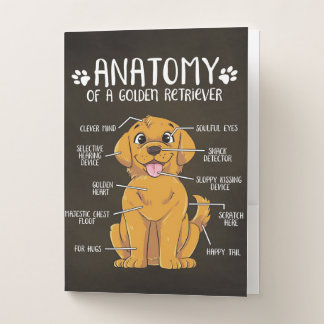 Anatomy Golden Retriever | Golden Retriever Lover Pocket Folder