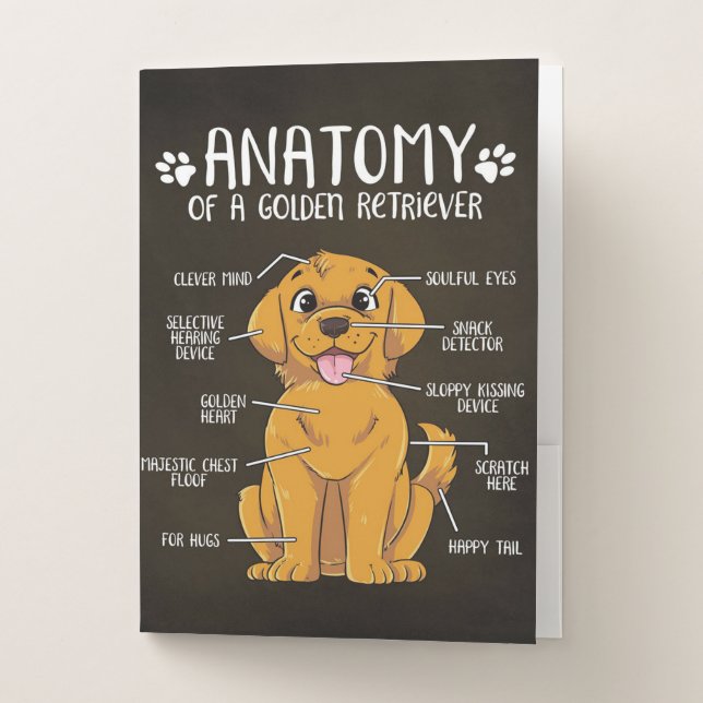 Anatomy Golden Retriever | Golden Retriever Lover  Pocket Folder (Front)