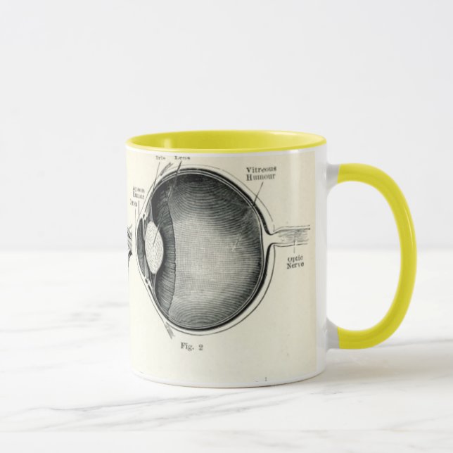 Anatomy - Human Senses Mug (Right)