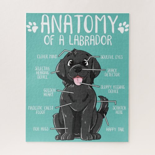 anatomy labrador retriever black lab dog owner  jigsaw puzzle
