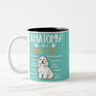 anatomy maltese dog lover Two-Tone coffee mug