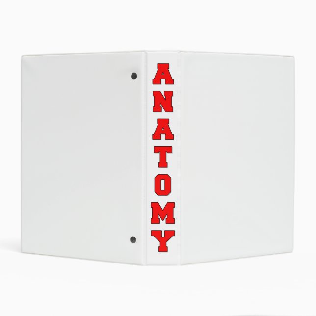 Anatomy Mini Binder (Background)