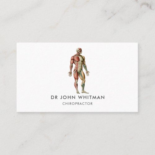 Anatomy Muscles Chiropractor Business Card