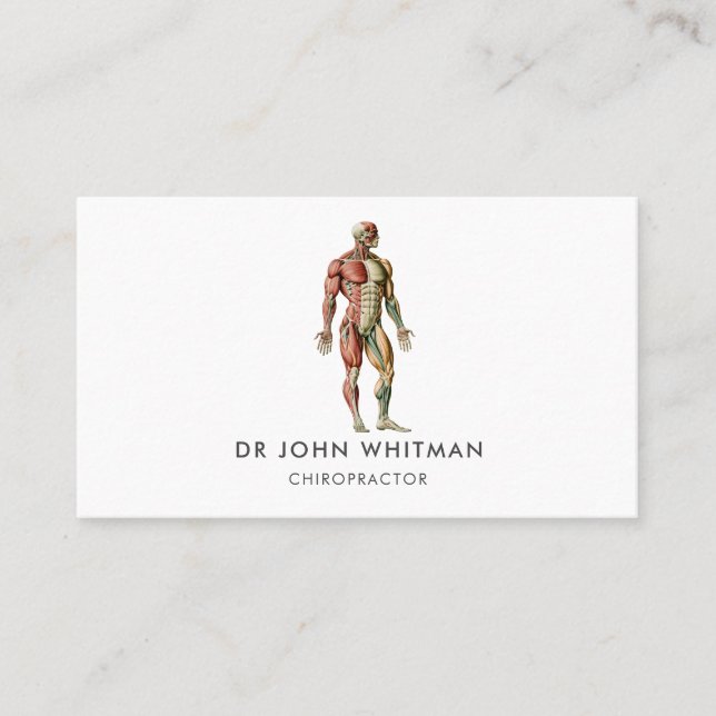 Anatomy Muscles Chiropractor Business Card (Front)
