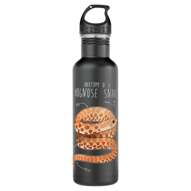 Anatomy of a Albino Hognose Snake Stainless Steel Water Bottle (Front)