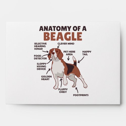 Anatomy Of A Beagle Cute Dogs Funny Dog Beagle Envelope