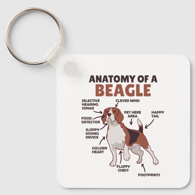 Anatomy Of A Beagle Cute Dogs Funny Dog Beagle Keychain (Front)