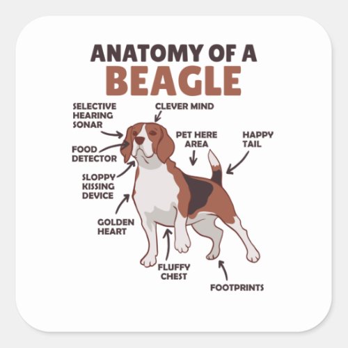 Anatomy Of A Beagle Cute Dogs Funny Dog Beagle Square Sticker