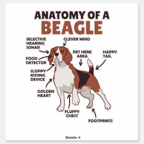 Anatomy Of A Beagle Cute Dogs Funny Dog Beagle Sticker