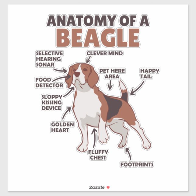 Anatomy Of A Beagle Cute Dogs Funny Dog Beagle Sticker (Sheet)