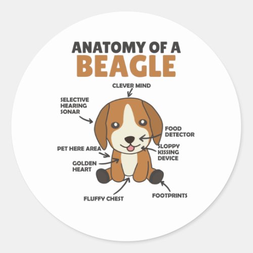 Anatomy Of A Beagle Cute Dogs Puppy Classic Round Sticker