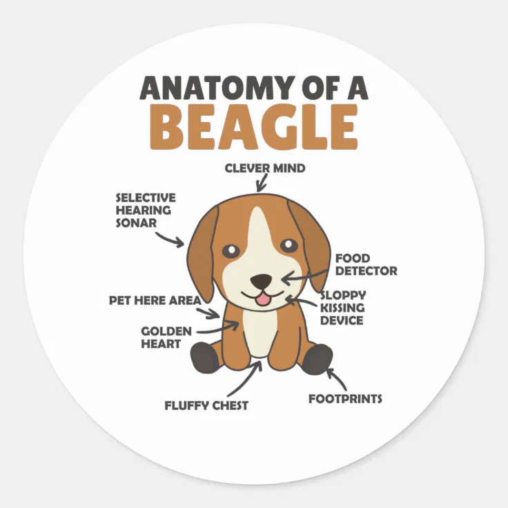 funny beagle pictures with captions