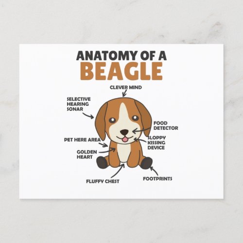 Anatomy Of A Beagle Cute Dogs Puppy Postcard