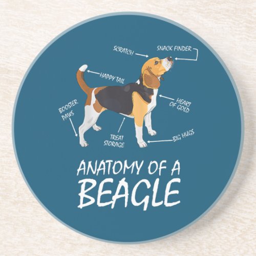 Anatomy Of A Beagle Dog Lovers Coaster