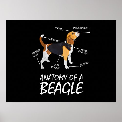 Anatomy Of A Beagle Dog Lovers Poster