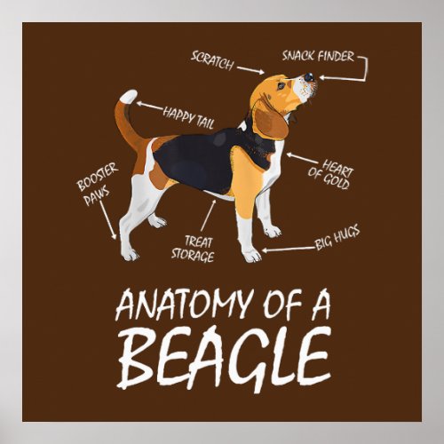 Anatomy Of A Beagle Dog Lovers Poster