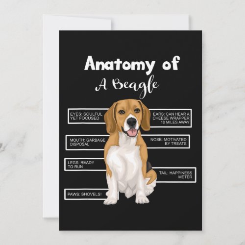 Anatomy Of A Beagle Funny Dog Lovers Gifts Announcement