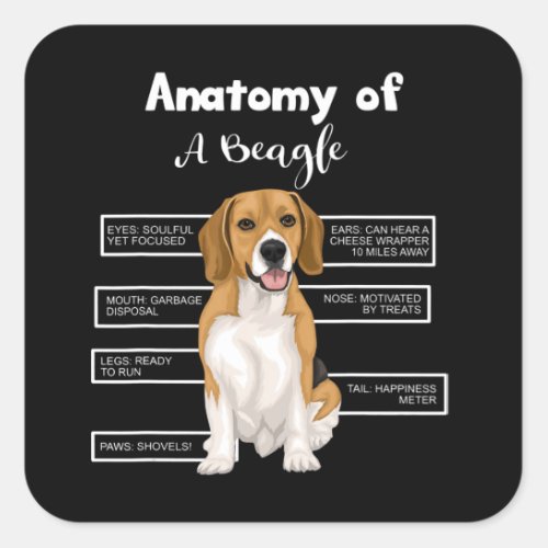 Anatomy Of A Beagle Funny Dog Lovers Gifts Square Sticker