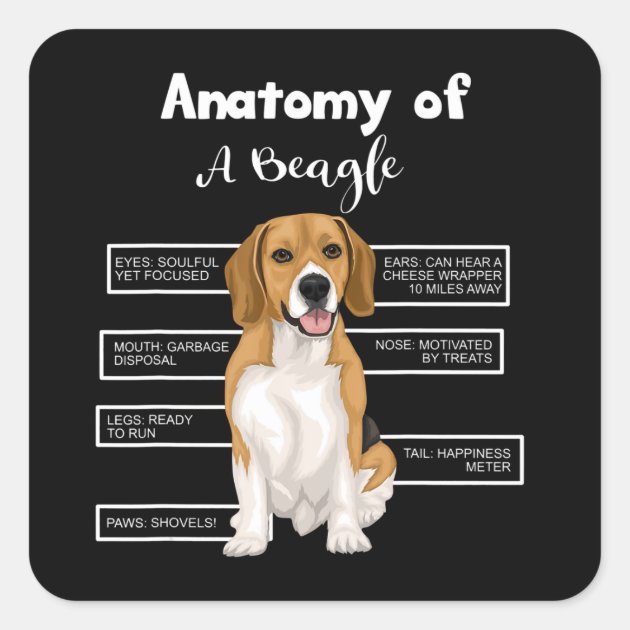 Funny beagle clearance gifts