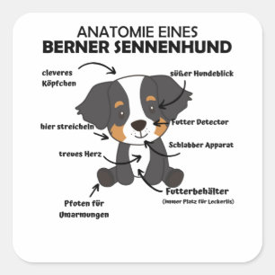 Anatomy Of A Bernese Mountain Dog Cute Dogs Puppy Square Sticker