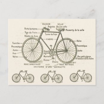 Anatomy Of A Bicycle Postcard by windsorprints at Zazzle
