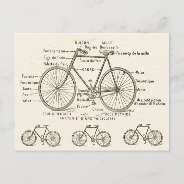 Anatomy of a Bicycle Postcard (Front)