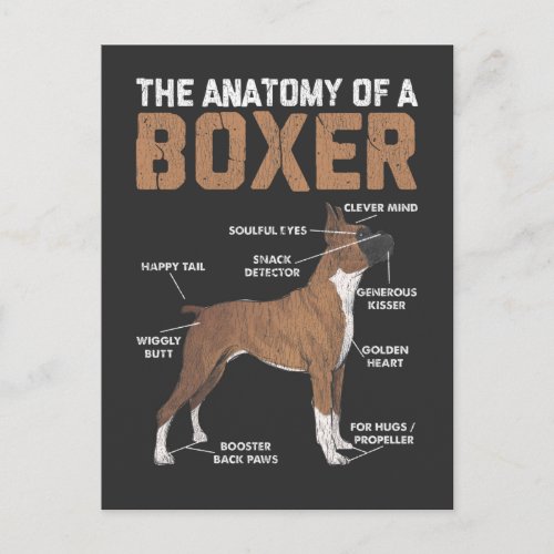 Anatomy of a Boxer Dog Animal Pet Lover Postcard