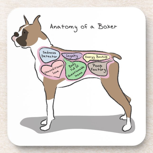 Anatomy of a Boxer Dog gifts Drink Coaster (Front)