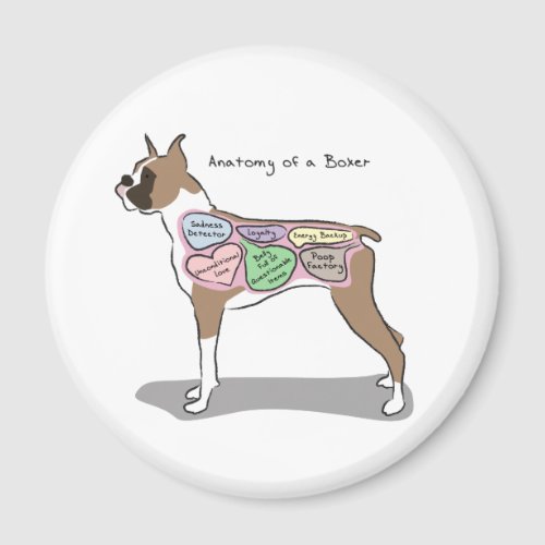 Anatomy of a Boxer Dog gifts Magnet