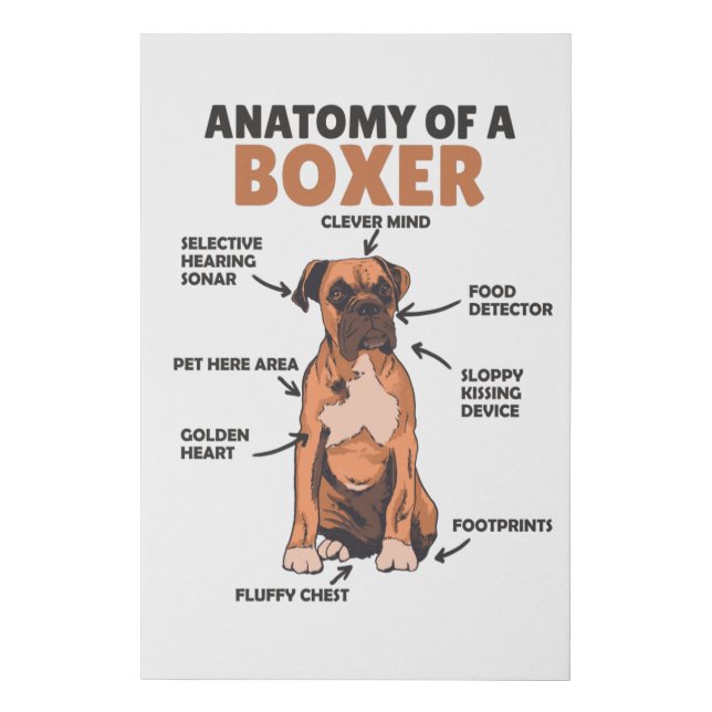 Anatomy Of A Boxer Sweet Dog Puppy Faux Canvas Print (Front)