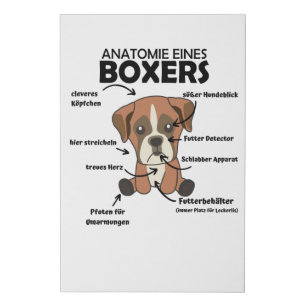 Anatomy Of A Boxer Sweet Dog Puppy Faux Canvas Print