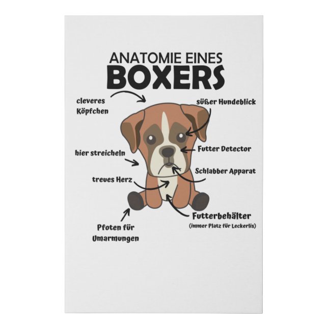 Anatomy Of A Boxer Sweet Dog Puppy Faux Canvas Print (Front)