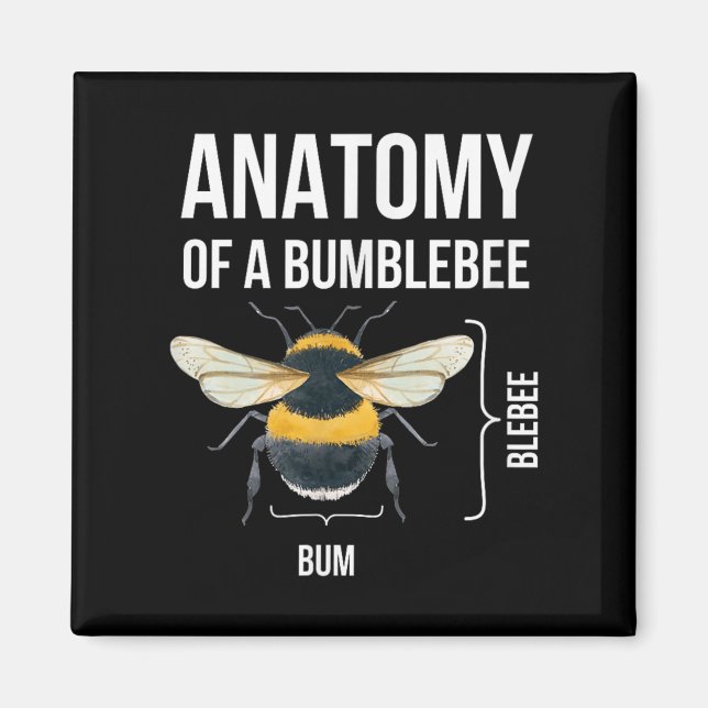 Anatomy Of A Bumblebee Funny Sarcastic Humor Quote Magnet (Front)