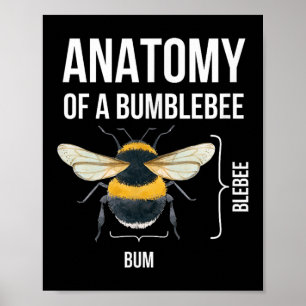 Anatomy Of A Bumblebee Funny Sarcastic Humor Quote Poster