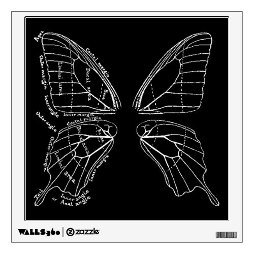 Anatomy Of A Butterfly Wing Vintage Diagram Wall Sticker