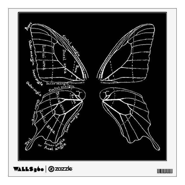 Anatomy Of A Butterfly Wing Vintage Diagram Wall Sticker (Front)