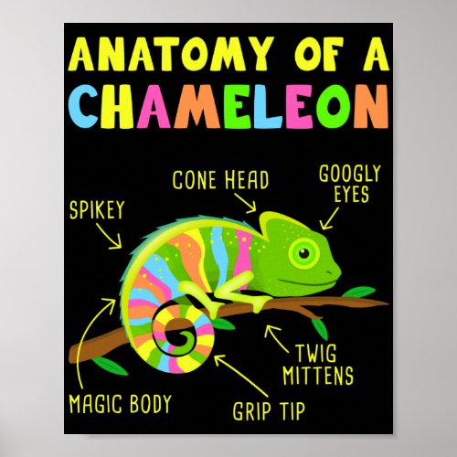 Anatomy of A Chameleon  Lizard Reptiles Poster