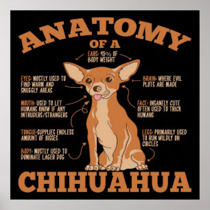 Anatomy Of A Chihuahua Canvas Poster