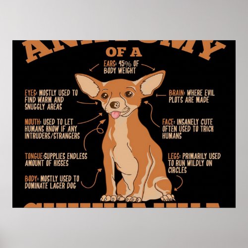 Anatomy Of A Chihuahua Canvas Poster