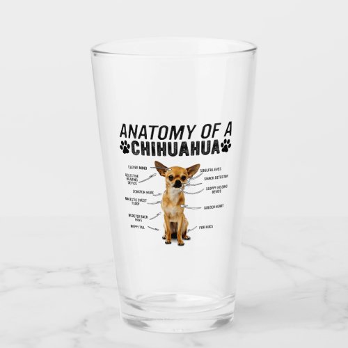anatomy of a chihuahua dog animals lover owner man glass