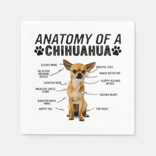 anatomy of a chihuahua dog animals lover owner man napkins