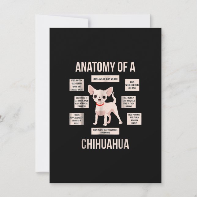 Anatomy of a chihuahua  funny puppy gift thank you card (Front)