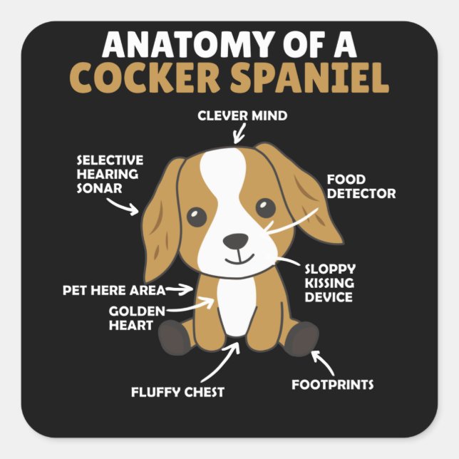 Anatomy Of A Cocker Spaniel Cute Dogs Puppy Square Sticker (Front)