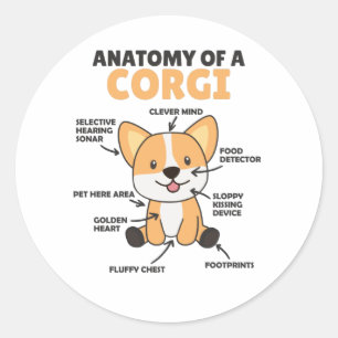 Anatomy Of A Corgi Cute Dogs Funny Puppy Classic Round Sticker