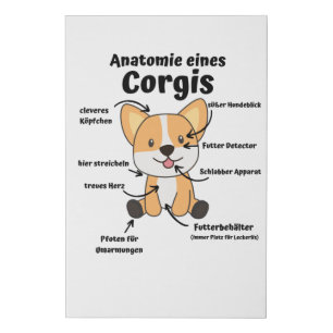 Anatomy Of A Corgi Cute Dogs Funny Puppy Faux Canvas Print