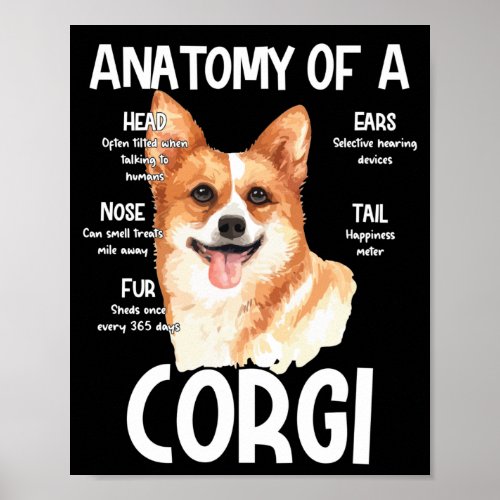 Anatomy Of A Corgi For Dog Lovers Poster